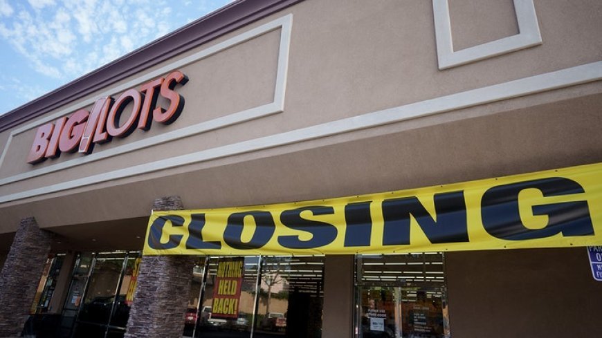 Big Lots Files for Bankruptcy Amid Economic Turbulence | What It Means for the Retail Sector